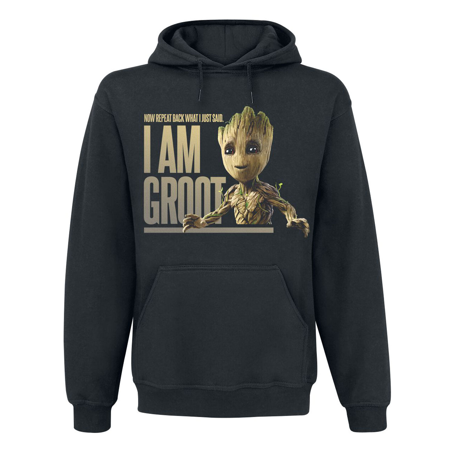 <span>Fashionable Fitness Hoodies</span>