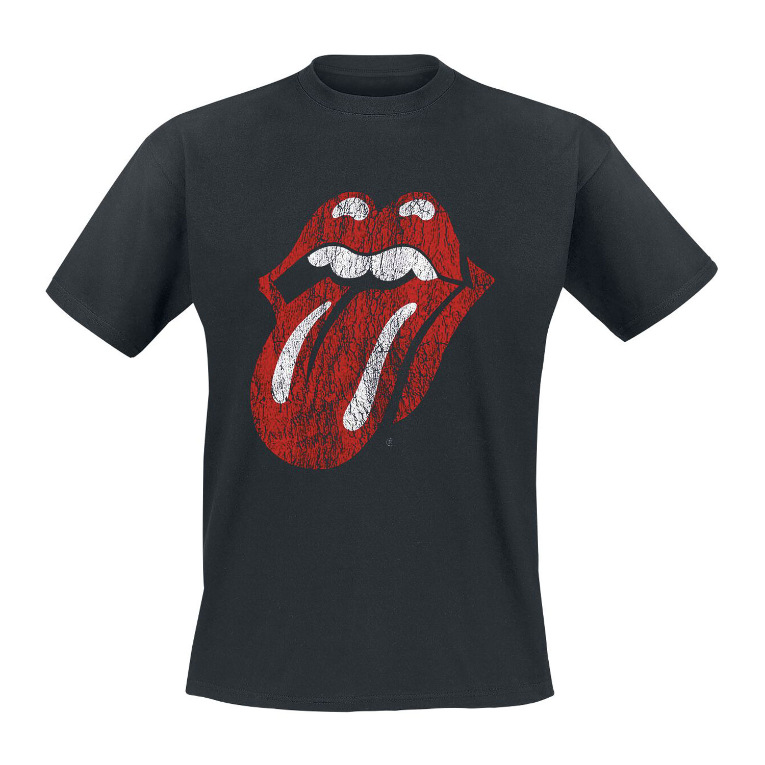 <span>High Quality Casual Wear T-Shirts</span>